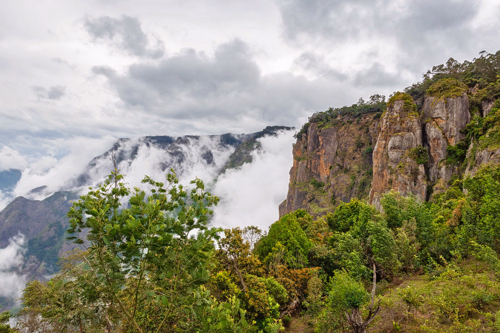 Travel Plans for Kodaikanal Hills kodaitrails - Pillar rock